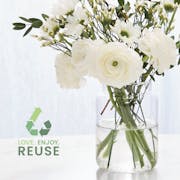 Spiced Pumpkin