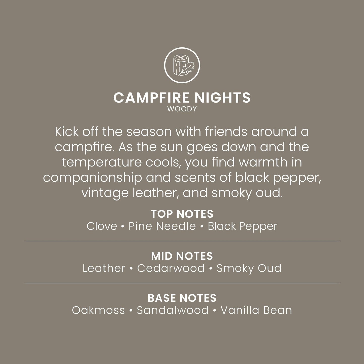 Campfire Nights