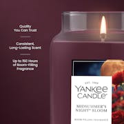 MidSummer's Night® Bloom