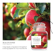 Macintosh